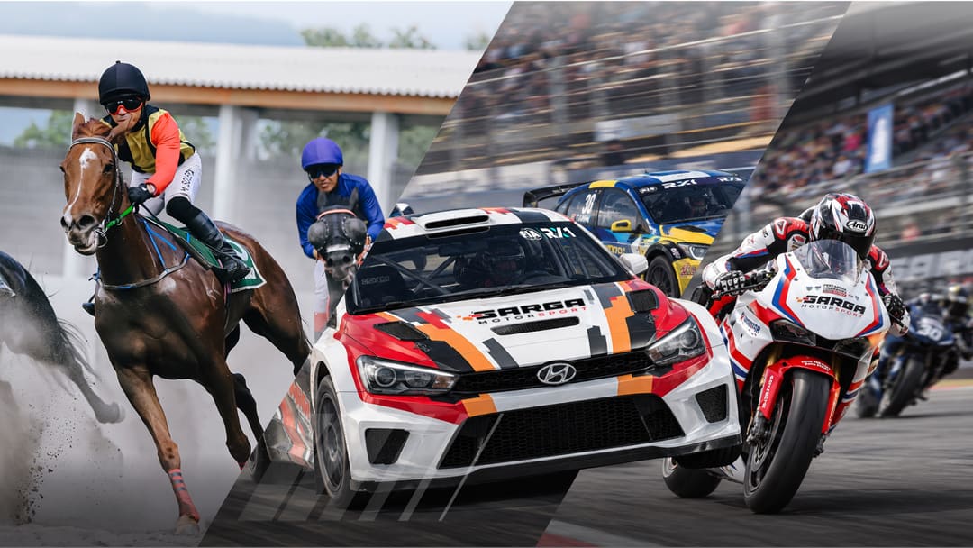 SARGA.CO horse sport, football, and motorsport campaign artwork