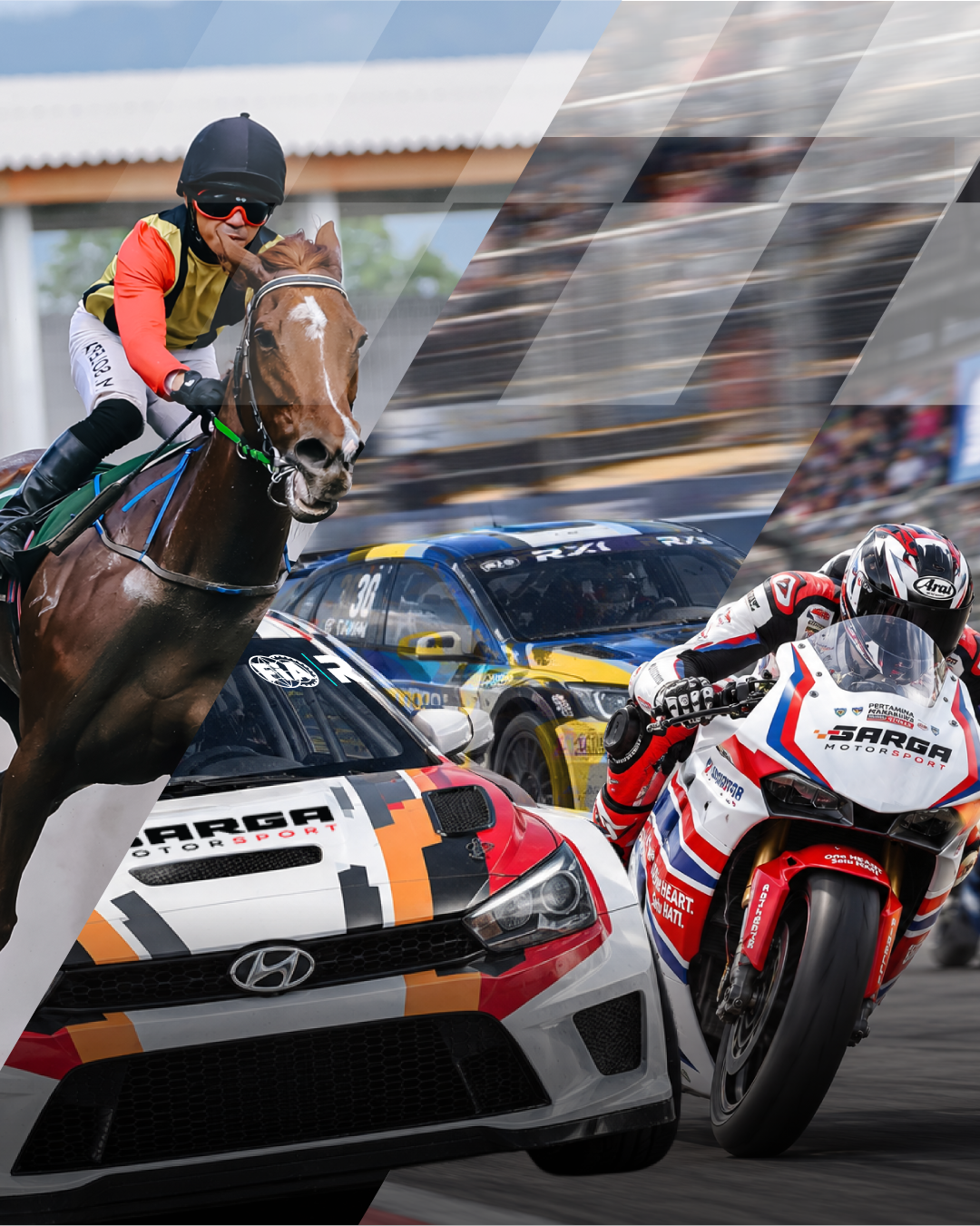 SARGA.CO horse sport, football, and motorsport campaign artwork